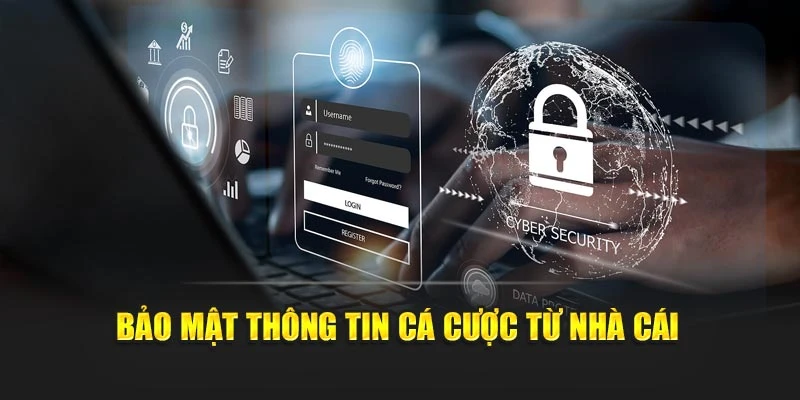 Bảo mật thông tin cá cược từ nhà cái