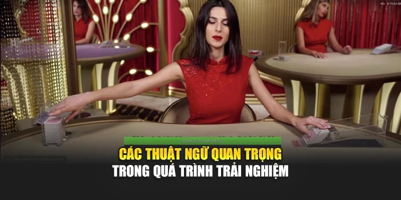 Các thuật ngữ quan trọng trong quá trình trải nghiệm