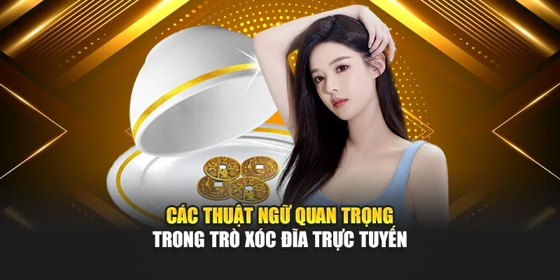 Các thuật ngữ quan trọng trong trò xóc đĩa trực tuyến