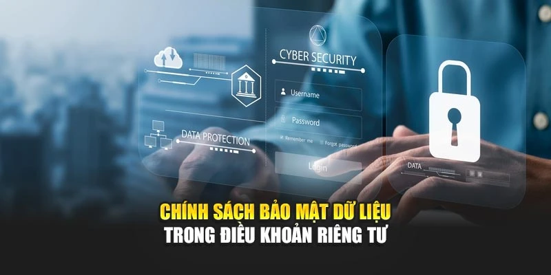 Chính sách bảo mật dữ liệu trong điều khoản riêng tư