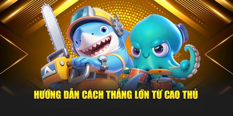 Hướng dẫn cách thắng lớn từ cao thủ