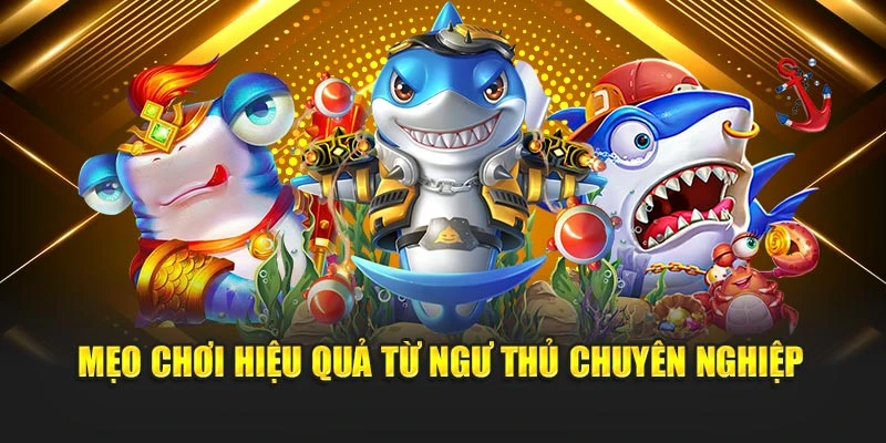 Mẹo chơi hiệu quả từ ngư thủ chuyên nghiệp