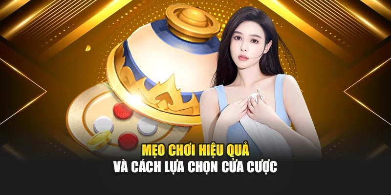 Mẹo chơi hiệu quả và cách lựa chọn cửa cược