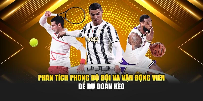Phân tích phong độ đội và vận động viên để dự đoán kèo